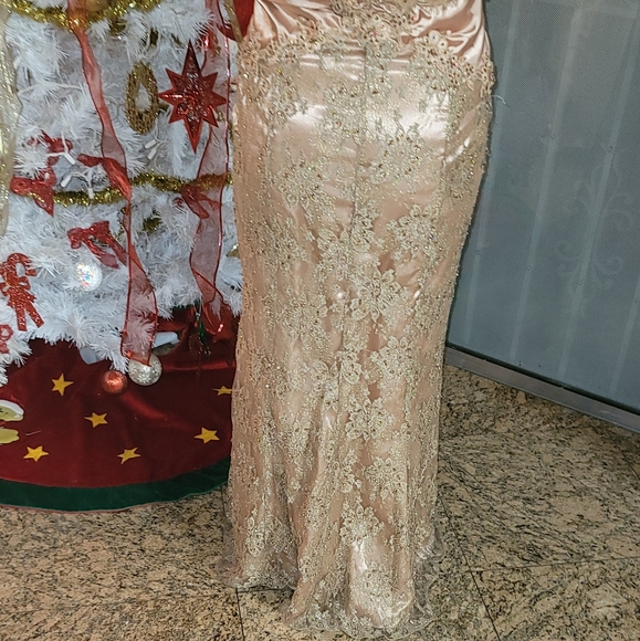 Pink Maxi With Jacket - Picture 4 of 5